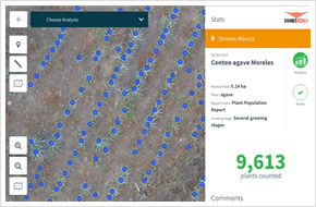 conteo de plantas con dron